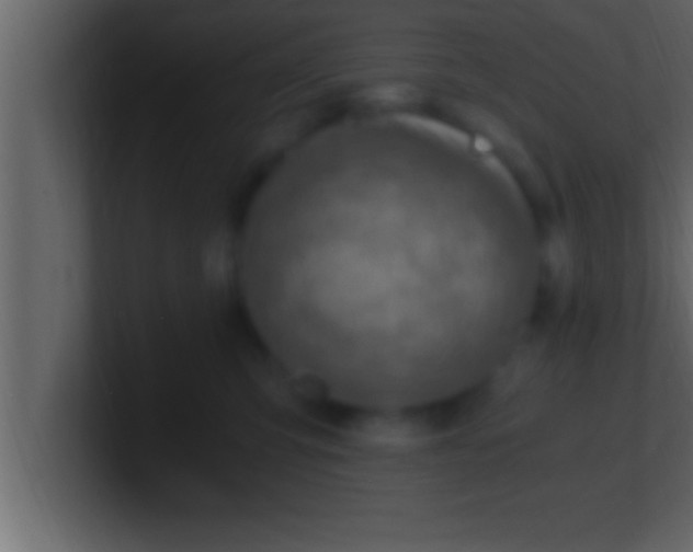 X0000100760423200807031154