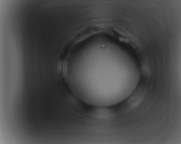 X0000100760424200807031154