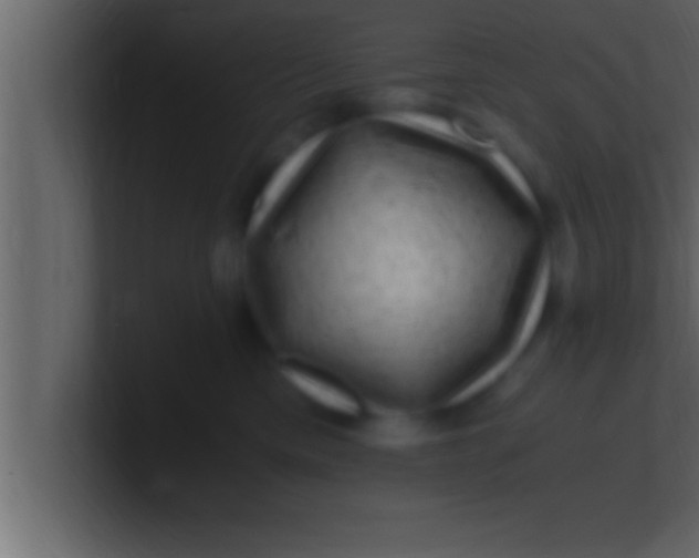 X0000100760425200807031154