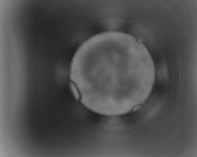 X0000100760427200807031154