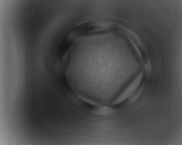 X0000100760429200807031153