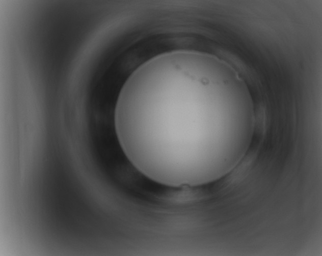 X0000100760430200807031153