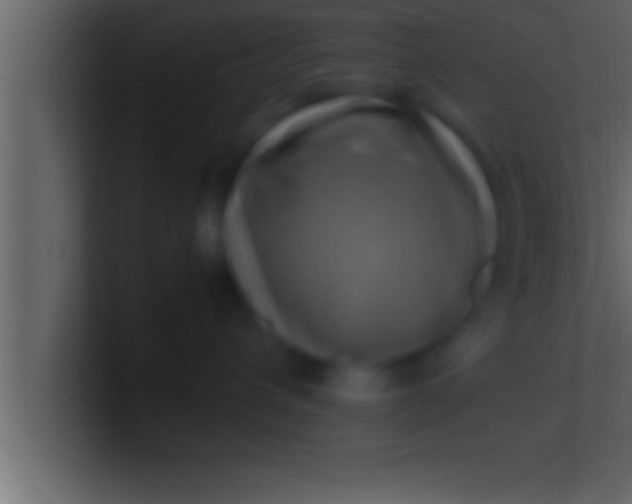 X0000100760432200807031153