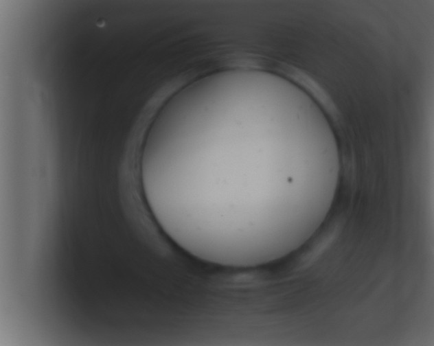 X0000100760433200807031153