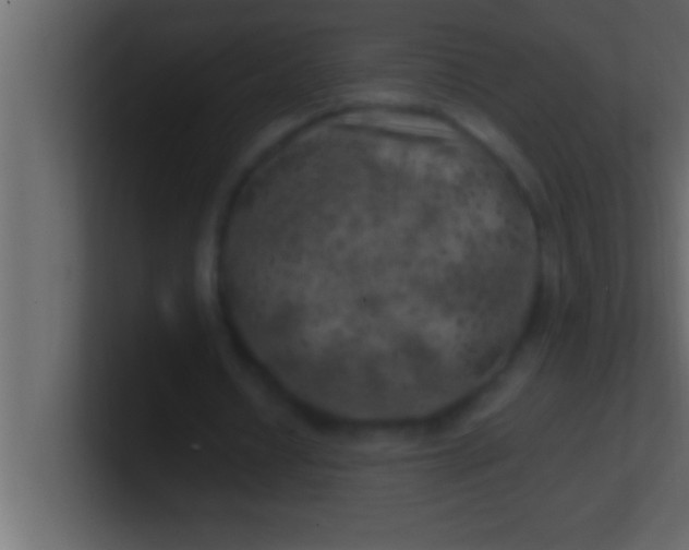 X0000100760434200807031153