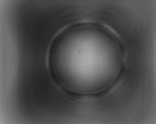 X0000100760436200807031153