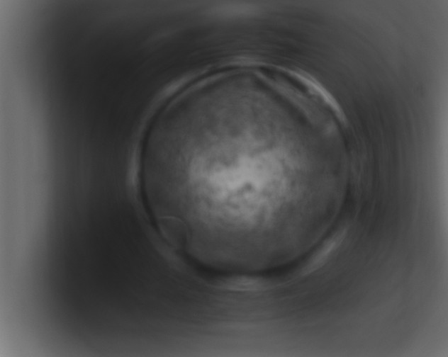 X0000100760437200807031153