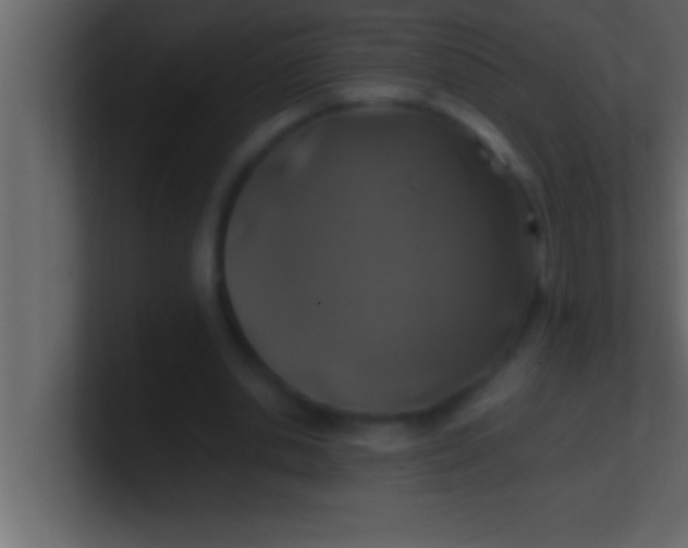 X0000100760438200807031153