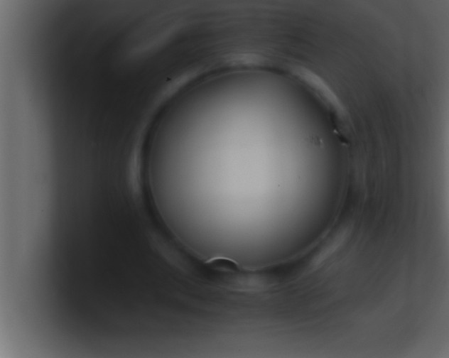 X0000100760439200807031153