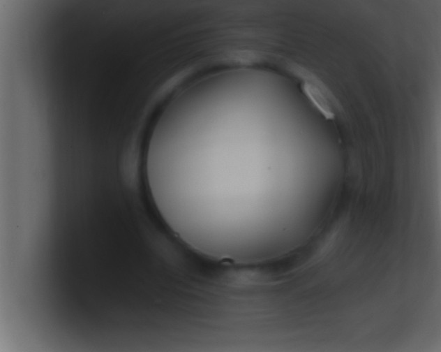 X0000100760440200807031153