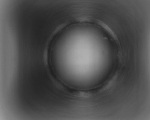 X0000100760442200807031153