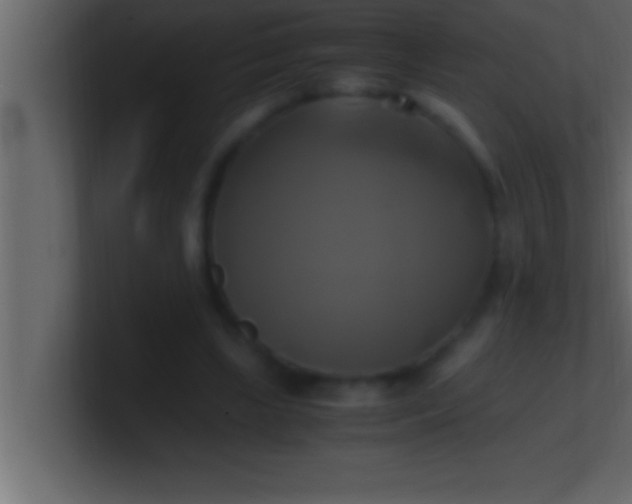 X0000100760443200807031153