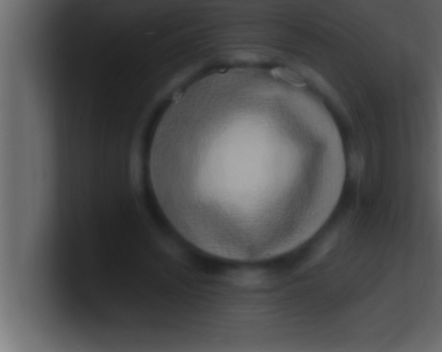 X0000100760444200807031153