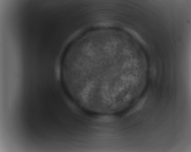 X0000100760446200807031153