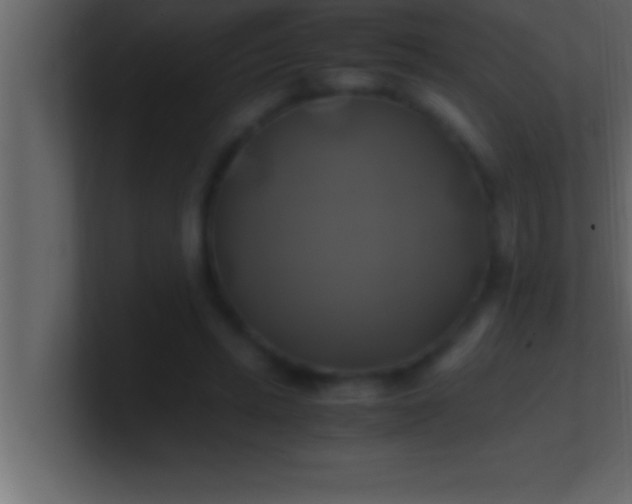 X0000100760447200807031153