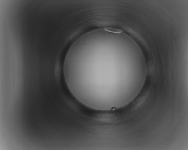 X0000100760448200807031153