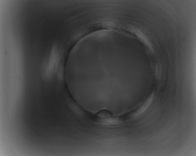 X0000100760449200807031153