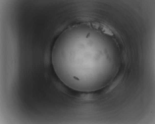 X0000100760450200807031153