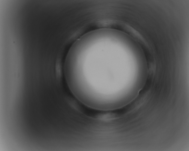 X0000100760452200807031153