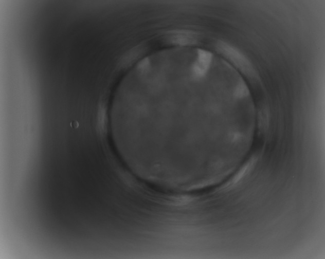 X0000100760453200807031153