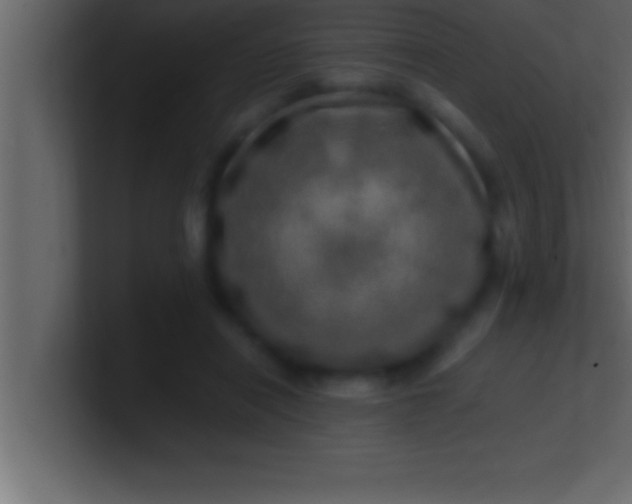 X0000100760454200807031153