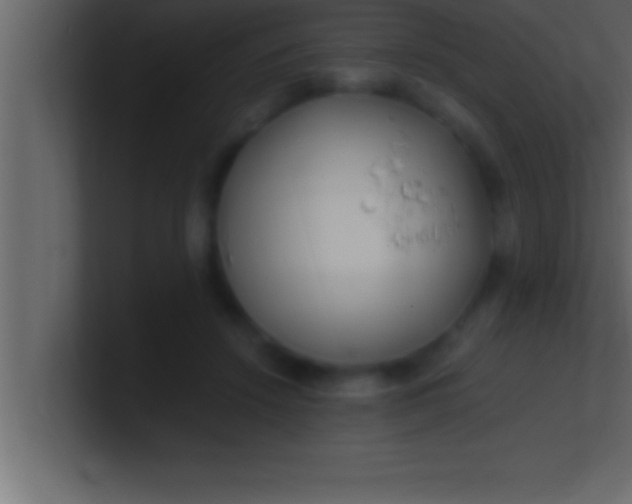 X0000100760456200807031153