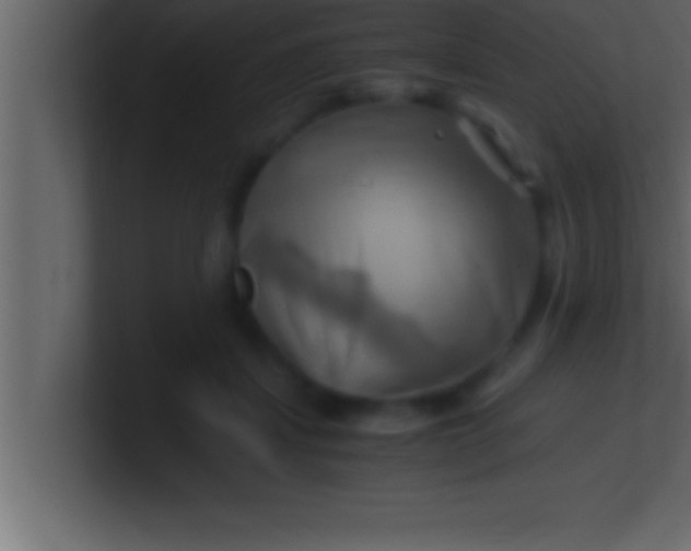 X0000100760459200807031153