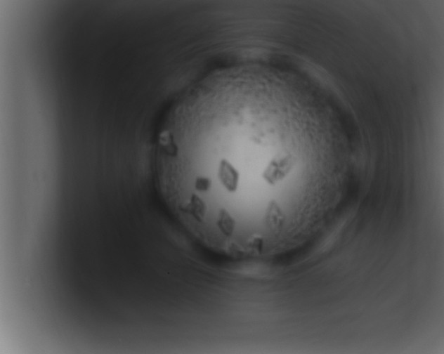 X0000100760462200807031153