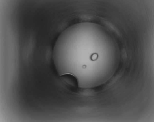 X0000100760463200807031153