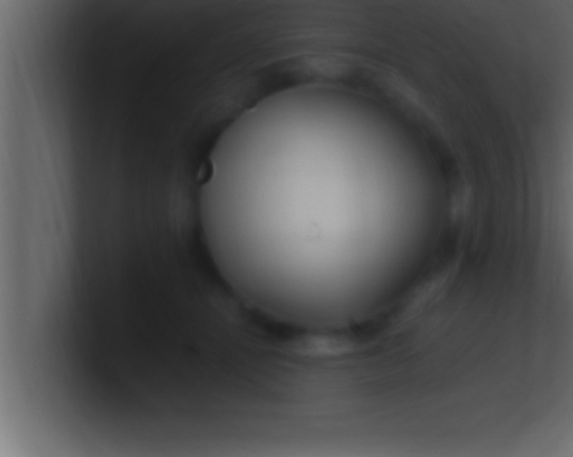 X0000100760464200807031153