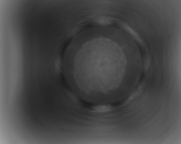 X0000100760465200807031153