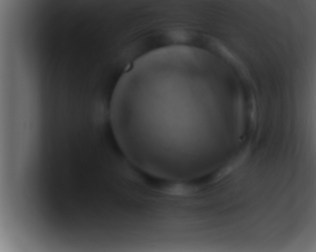 X0000100760467200807031153