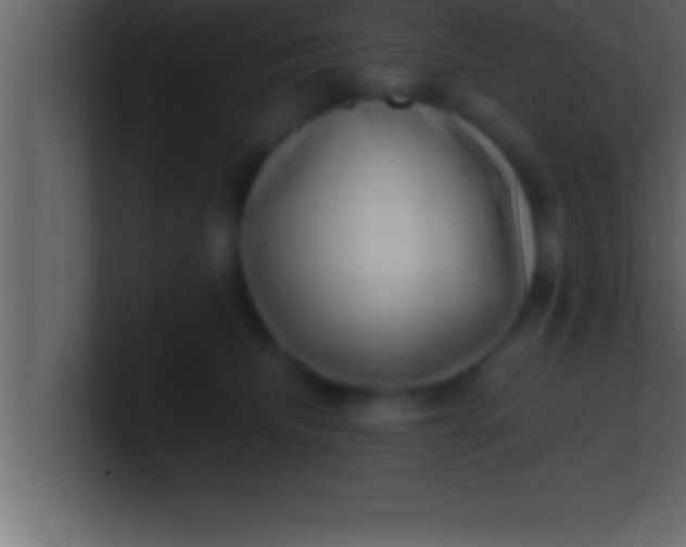 X0000100760468200807031153