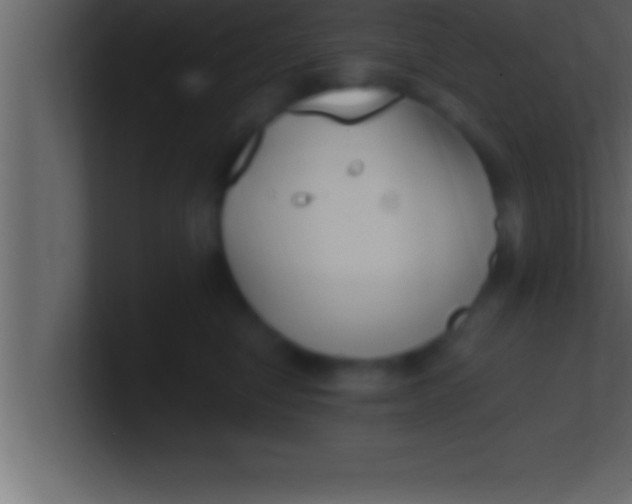 X0000100760470200807031153