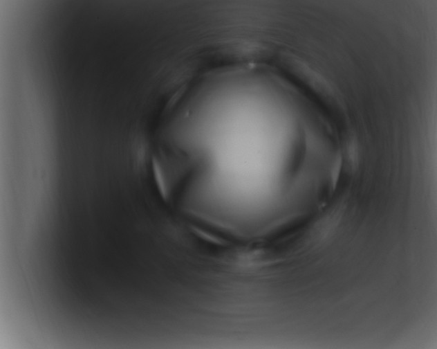 X0000100760472200807031153