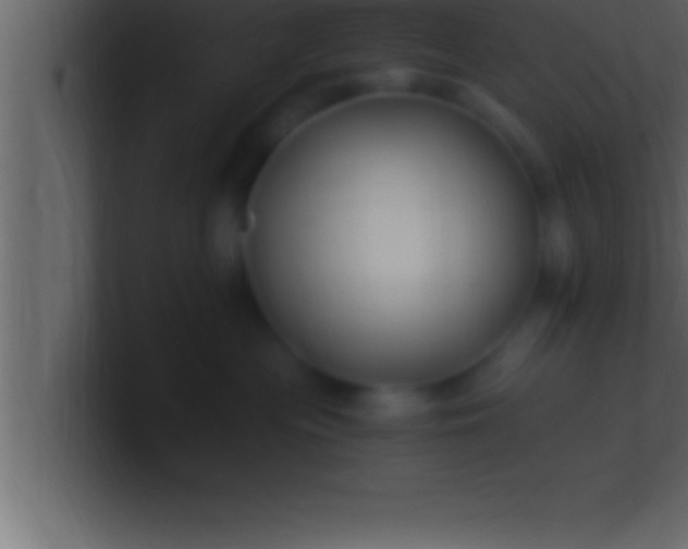 X0000100760477200807031153