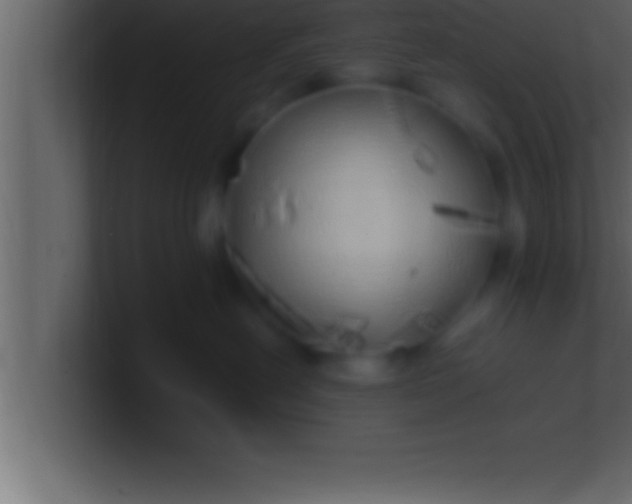 X0000100760478200807031153