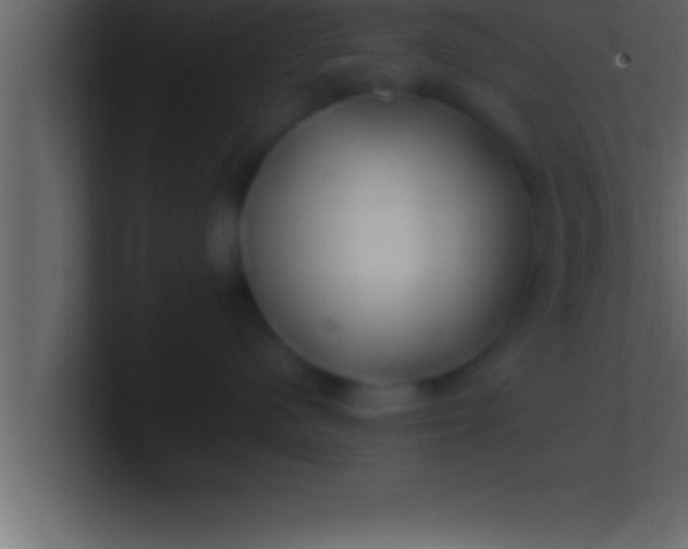 X0000100760480200807031153