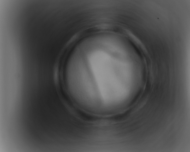 X0000100760482200807031153