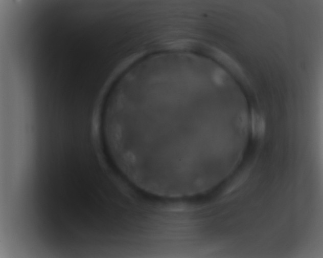 X0000100760483200807031153