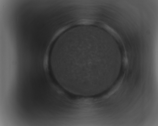 X0000100760484200807031153