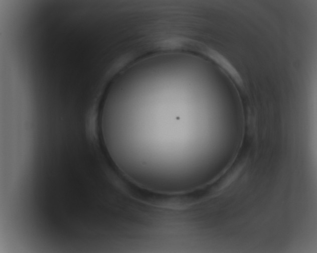 X0000100760485200807031153