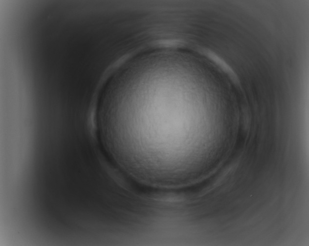 X0000100760486200807031153