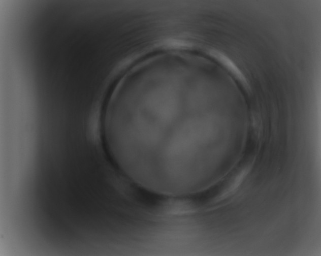 X0000100760487200807031153