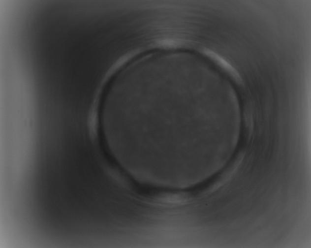 X0000100760488200807031153