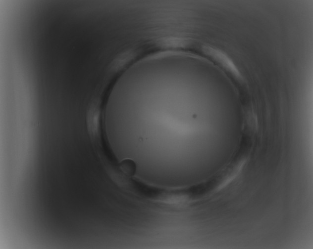 X0000100760491200807031153