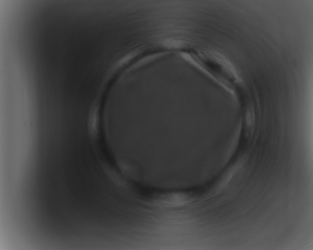 X0000100760492200807031153