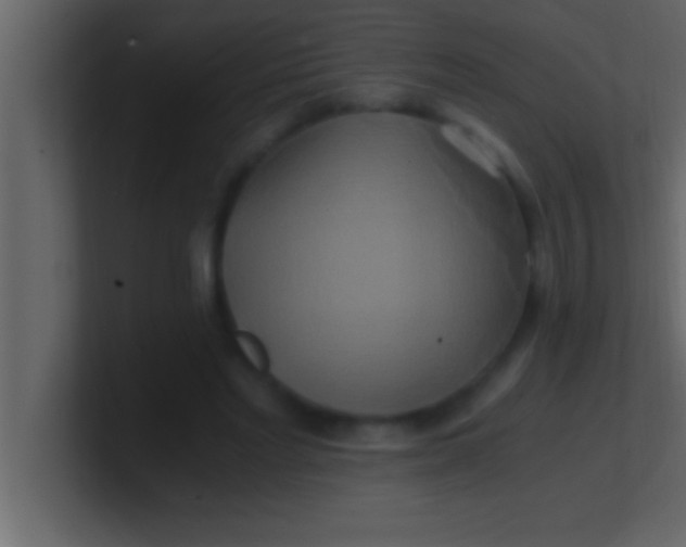 X0000100760493200807031153