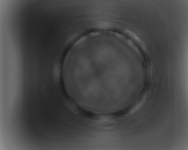 X0000100760495200807031153