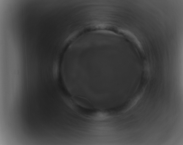 X0000100760496200807031153